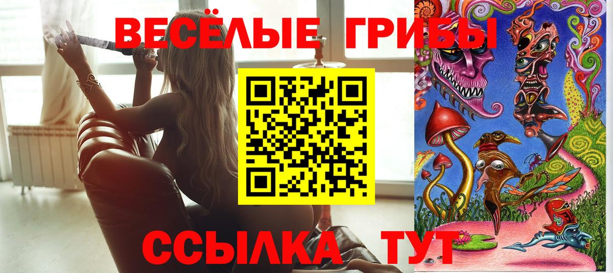 Фурманов  Псилоцибиновые грибы Cubensis  Вход с VPN 